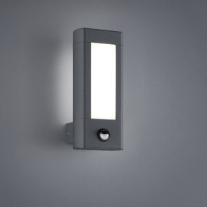 Φωτιστικό Τοίχου Trio Lighting LED 4,5W  Ανθρακί Αλουμίνιο 450lm 3000K IP54 221669242