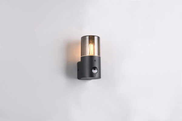 Trio Lighting - 222260132