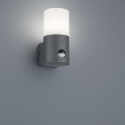 Φωτιστικό Τοίχου Trio Lighting E27 Ανθρακί Αλουμίνιο IP44 222260142