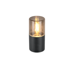 Trio Lighting – 224060132