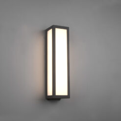 Φωτιστικό Τοίχου Trio Lighting LED 10,5W Ανθρακί Αλουμίνιο 1300lm 3000K IP54 226260142