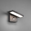 Φωτιστικό Τοίχου Trio Lighting LED 8W  Ανθρακί Αλουμίνιο 1000lm 3000K IP54 226369142
