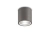 IDEAL LUX Φωτιστικό Σποτ Οροφής Βεράντας GUN 1xGU10 IP44 Χρώματος Ανθρακί – 236865