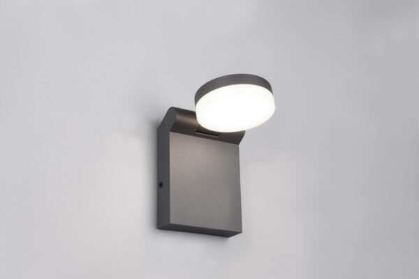 Trio Lighting – 245560142