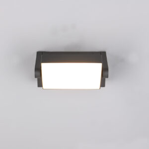 Απλίκα Τοίχου Περιστρεφόμενη Ανθρακί KANSAS LED 10W 1000lm 3000K IP44 Trio Lighting – 246860142
