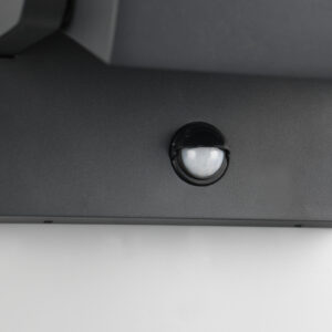 Trio Lighting – 246869142
