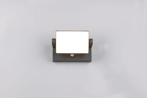 Trio Lighting – 246869142