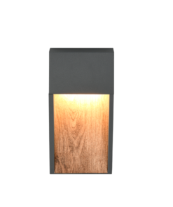 Φωτιστικό Τοίxου σε Απόχρωση Ξύλου & Ανθρακί SALMON LED 11W 1200lm 3000K IP44 Trio Lighting – 246960135