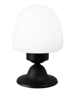 ΦΩΤΙΣΤΙΚΟ ΕΞΩΤΕΡΙΚΟΥ ΧΩΡΟΥ ΔΑΠΕΔΟΥ ΓΥΑΛΙ  LP-120EΧ ΒΕΛΑΝΙΔΙ Heronia – 10-0401