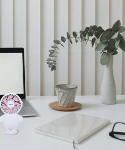 ΑΝΕΜΙΣΤΗΡΑΣ ΧΕΙΡΟΣ ΕΠΑΝΑΦΟΡΤΙΖΟΜΕΝΟΣ ΜΕ USB Φ8 ΛΕΥΚΟ-ΡΟΖ EUROLAMP – 300-20527