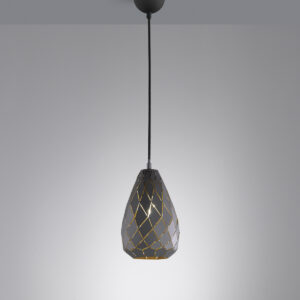 Κρεμαστό Φωτιστικό Trio Lighting   E27 Ανθρακί Μεταλλικό    301300142