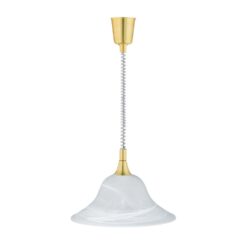 Κρεμαστό Φωτιστικό Trio Lighting E27 Ορείχαλκος Ματ Μεταλλικό 301700108