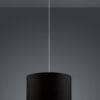 Κρεμαστό Φωτιστικό Trio Lighting   E27 Νίκελ Ματ Μεταλλικό    303300102