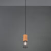 Κρεμαστό Φωτιστικό Trio Lighting   E27 Μαύρο Ματ Μεταλλικό    304300132