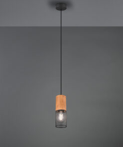 Κρεμαστό Φωτιστικό Trio Lighting E27 Μαύρο Ματ Μεταλλικό 304300132