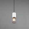 Κρεμαστό Φωτιστικό TOSH Trio Lighting 1x E27 Μαύρο-Άσπρο Ξύλο με Μεταλλικό Μαύρο Πλέγμα – 304300134
