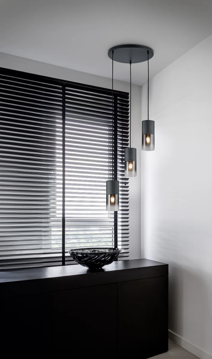 Κρεμαστό Φωτιστικό Trio Lighting E27 Μαύρο Ματ Μεταλλικό 310630332