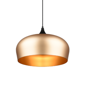 Κρεμαστό Φωτιστικό Trio Lighting E27   Ορείχαλκος Αλουμίνιο    – 310890108