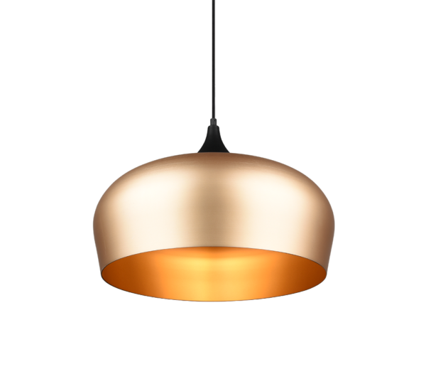 Κρεμαστό Φωτιστικό Trio Lighting E27   Ορείχαλκος Αλουμίνιο    – 310890108