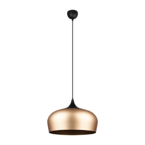 Κρεμαστό Φωτιστικό Trio Lighting E27   Ορείχαλκος Αλουμίνιο    – 310890108