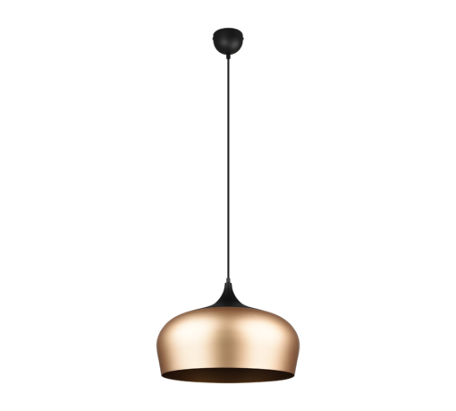 Κρεμαστό Φωτιστικό Trio Lighting E27   Ορείχαλκος Αλουμίνιο    – 310890108