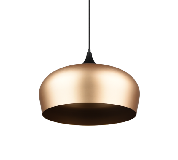 Κρεμαστό Φωτιστικό Trio Lighting E27   Ορείχαλκος Αλουμίνιο    – 310890108