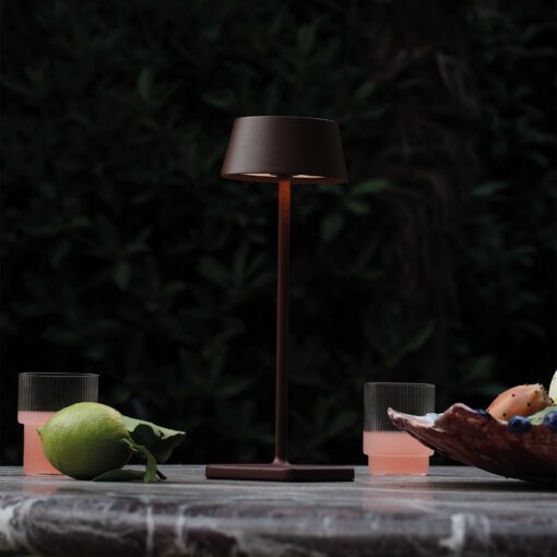 IDEAL LUX Επιτραπέζιο Φωτιστικό PURE LED 1.5W 3000K IP54 Καφέ Χρώματος – 311661