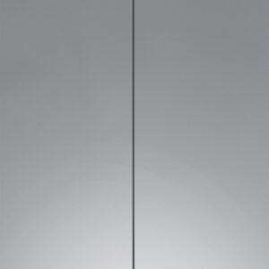 Κρεμαστό Φωτιστικό Trio Lighting   GU10 Μαύρο Ματ Μεταλλικό    312400132