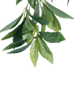 GloboStar® Artificial Garden LAURUS NOBILIS BRANCH 20225 10 x Τεχνητά Διακοσμητικά Κλαδία Δάφνης Π45 x Υ60cm