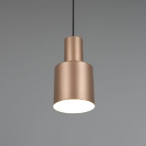Κρεμαστό Φωτιστικό Σποτ Καφέ AGUDO 1x E27 Trio Lighting – 319400165