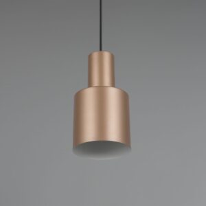 Κρεμαστό Φωτιστικό Σποτ Καφέ AGUDO 1x E27 Trio Lighting – 319400165