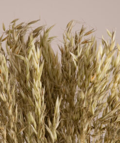 GloboStar® WILDOAT 36501 Αποξηραμένο Φυτό Αγριοβρώμη – Μπουκέτο Διακοσμητικών Κλαδιών Μπεζ – Πράσινο Υ60cm