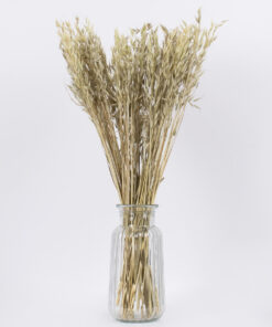 GloboStar® WILDOAT 36501 Αποξηραμένο Φυτό Αγριοβρώμη – Μπουκέτο Διακοσμητικών Κλαδιών Μπεζ – Πράσινο Υ60cm