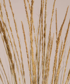 GloboStar® SMUTGRASS 36502 Αποξηραμένο Φυτό Χορταφιλιά – Μπουκέτο Διακοσμητικών Κλαδιών Μπεζ – Πράσινο Υ90cm