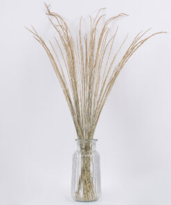 GloboStar® SMUTGRASS 36502 Αποξηραμένο Φυτό Χορταφιλιά – Μπουκέτο Διακοσμητικών Κλαδιών Μπεζ – Πράσινο Υ90cm