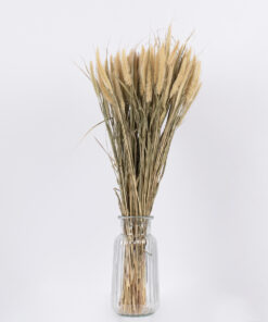 GloboStar® PENNISETUM 36503 Αποξηραμένο Φυτό Πεννήσιο – Μπουκέτο Διακοσμητικών Κλαδιών Μπεζ – Πράσινο Υ60cm