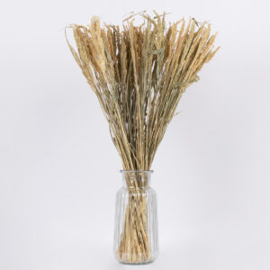 GloboStar® ERICAGRASS 36504 Αποξηραμένο Φυτό Έρρικα – Μπουκέτο Διακοσμητικών Κλαδιών Μπεζ – Πράσινο Υ60cm