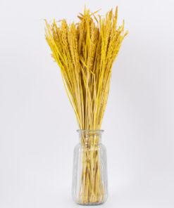 GloboStar® RISEGRASS 36506 Αποξηραμένο Φυτό Ρύζι – Μπουκέτο Διακοσμητικών Κλαδιών Μπεζ – Κίτρινο Υ60cm