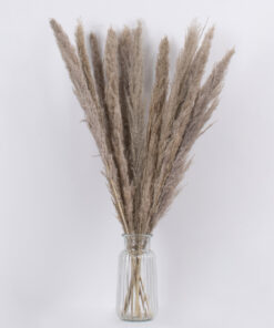 GloboStar® PAMPASGRASS 36511 Αποξηραμένο Φυτό Γρασίδι της Πάμπας – Μπουκέτο Διακοσμητικών Κλαδιών Καφέ – Γκρι Υ80cm