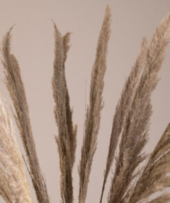 GloboStar® PAMPASGRASS 36512 Αποξηραμένο Φυτό Γρασίδι της Πάμπας – Μπουκέτο Διακοσμητικών Κλαδιών Καφέ – Γκρι Υ100cm