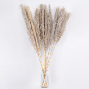 GloboStar® PAMPASGRASS 36513 Αποξηραμένο Φυτό Γρασίδι της Πάμπας – Μπουκέτο Διακοσμητικών Κλαδιών Καφέ – Γκρι Υ120cm