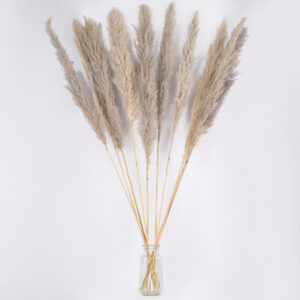 GloboStar® PAMPASGRASS 36514 Αποξηραμένο Φυτό Γρασίδι της Πάμπας – Μπουκέτο Διακοσμητικών Κλαδιών Καφέ – Γκρι Υ150cm