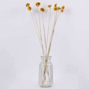 GloboStar® STRAWFLOWER 36531 Αποξηραμένο Φυτό Ελίχρυσο – Μπουκέτο Διακοσμητικών Κλαδιών Μπεζ – Κίτρινο Υ70cm