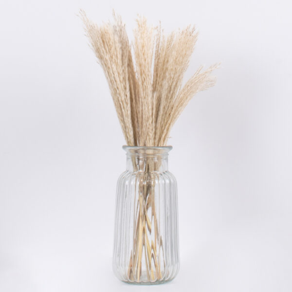 GloboStar® MISCANTHUS 36534 Αποξηραμένο Φυτό Μίσχανθος – Μπουκέτο Διακοσμητικών Κλαδιών Μπεζ Υ40cm