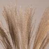 GloboStar® MISCANTHUS 36535 Αποξηραμένο Φυτό Μίσχανθος – Μπουκέτο Διακοσμητικών Κλαδιών Μπεζ Υ60cm