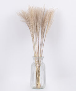 GloboStar® MISCANTHUS 36535 Αποξηραμένο Φυτό Μίσχανθος – Μπουκέτο Διακοσμητικών Κλαδιών Μπεζ Υ60cm