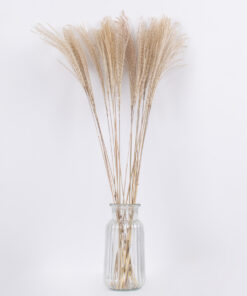 GloboStar® MISCANTHUS 36536 Αποξηραμένο Φυτό Μίσχανθος – Μπουκέτο Διακοσμητικών Κλαδιών Μπεζ Υ80cm