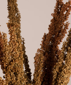 GloboStar® CURLYDOCK 36541 Αποξηραμένο Φυτό Αγριολάπαθο – Μπουκέτο Διακοσμητικών Κλαδιών Μπεζ – Καφέ Υ60cm