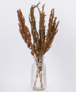 GloboStar® CURLYDOCK 36541 Αποξηραμένο Φυτό Αγριολάπαθο – Μπουκέτο Διακοσμητικών Κλαδιών Μπεζ – Καφέ Υ60cm