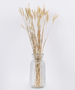 GloboStar® FOUNTAINGRASS 36542 Αποξηραμένο Φυτό Πεννίζετο – Μπουκέτο Διακοσμητικών Κλαδιών Μπεζ – Πράσινο Υ60cm